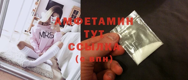 сатива Горняк