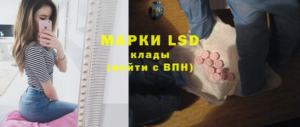 сатива Горняк
