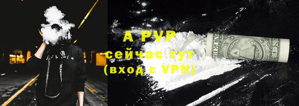 сатива Горняк