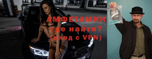сатива Горняк