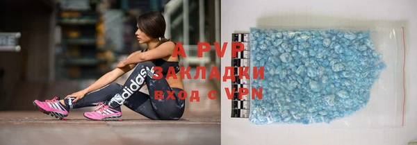 гашик Гусь-Хрустальный