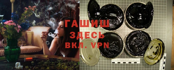 сатива Горняк