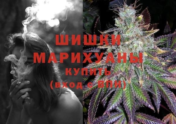 сатива Горняк
