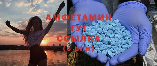 сатива Горняк