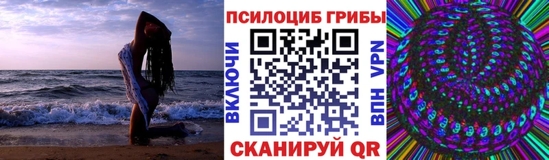 Галлюциногенные грибы GOLDEN TEACHER  Купить закладки  Таштагол 